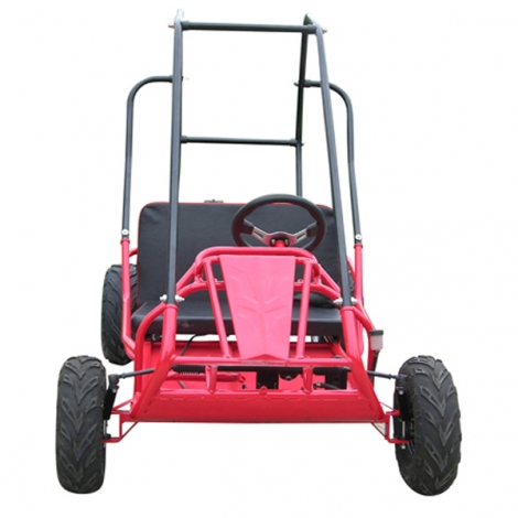 Kids Off Road Buggy For Sale